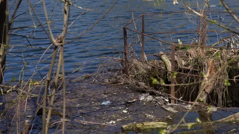 The lake water is polluted with garbage Stock Footage 127923236