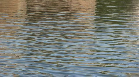 Lake water ripples Stock Footage