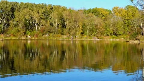 Lake Water Ripples With Tree Reflections in Wide Static Shot Stock Footage 335509898