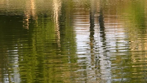 Lake Water Surface Видео 102875035
