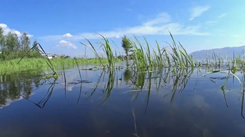 Lake water surface with light waves and grasses in a close-up view in China Stock-Footage 144056275