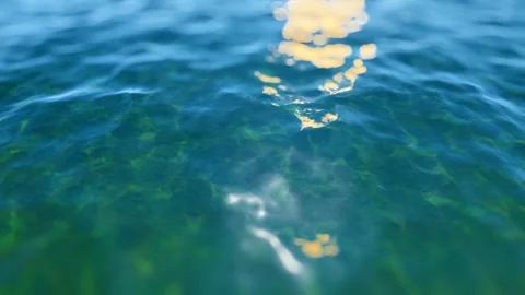 Lake water surface sea lake water nature scenery Stock Footage 288192579