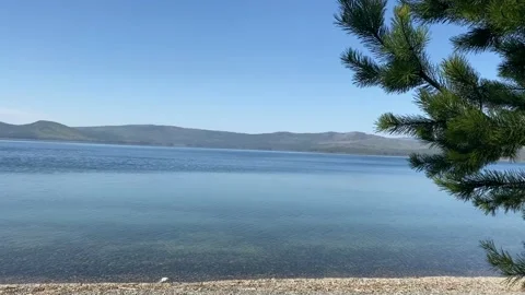 Lake, water, tree, landscape Stock Footage 130140473