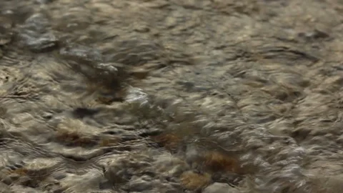 Lake Water Waves Stock Footage 111465842