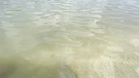 Lake water waves Stock Footage 232082875