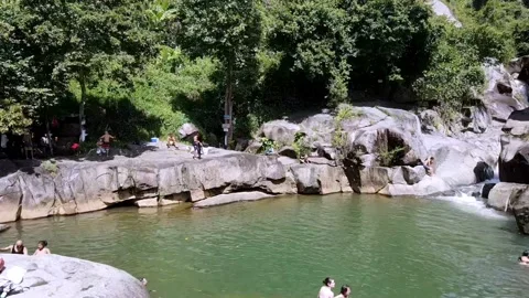 Lake, waterfall, and Rainforest Stock Footage 202074486