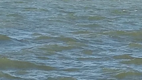 Lake waters with waves Stock Footage 290801179
