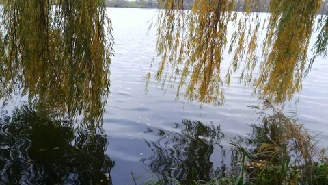 Lake waves in autumn Stock Footage 98009232