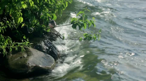 Lake waves Stock-Footage 34404392