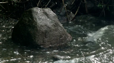 Lake waves Video stock 34595499