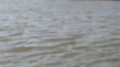 Lake waves Stock Footage 49511922