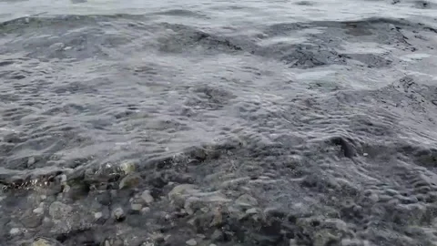 Lake Waves Stock Footage 262090935