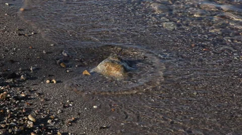 Lake waves lap against a rock on a beach Stock Footage 39633752