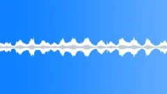 Lake waves lapping 01, :30 loopSound Effect