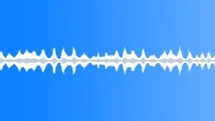 Lake waves lapping 02, :60 loop Sound Effect