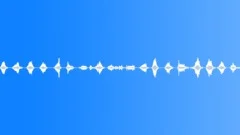 Lake waves lapping gentle 02, :30 loop Sound Effect