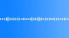 Lake waves lapping gentle 02, :60 loop Sound Effect