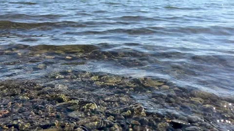 Lake waves at the shore Stock Footage 281689351