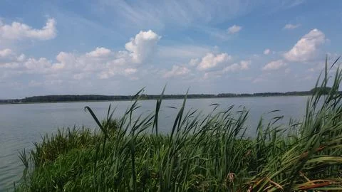 Lake with waves in summer Stock Photos