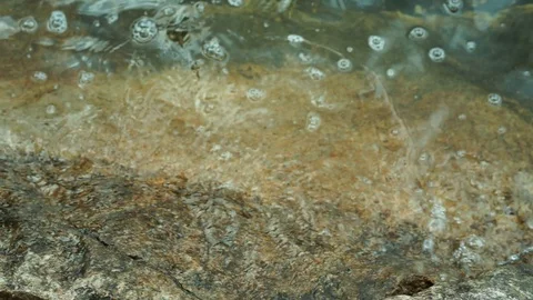 Lake waves touching shore stone. Video stock 122349733