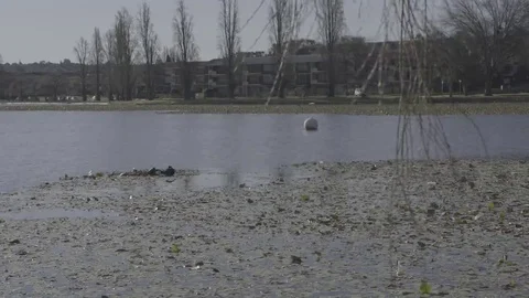 Lake with waving branches Stock Footage 69232655