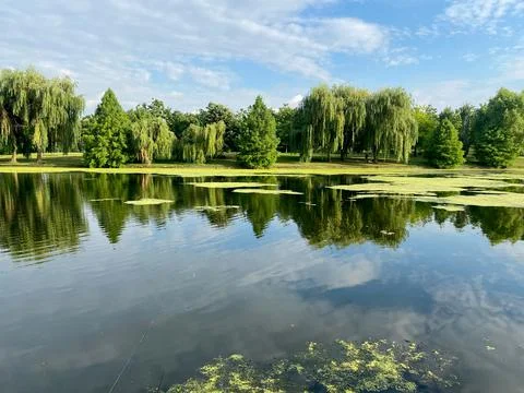 Lake in which the blue sky is reflected with some white clouds and trees on e Stock Photos