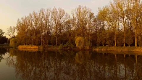 Lake with willow tree at sunset Stock-Footage 74257580