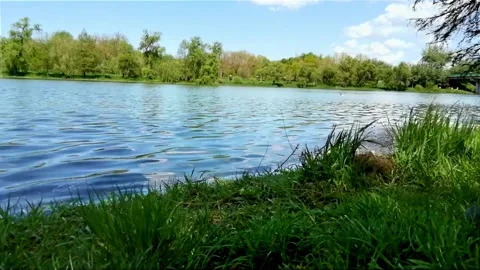 Lake in the wind with ducks Stock Footage 153676154