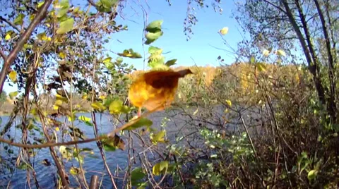 Lake, wind 스톡 동영상 32162536