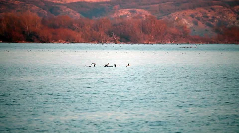 Lake in the wind Stock Footage 44265344