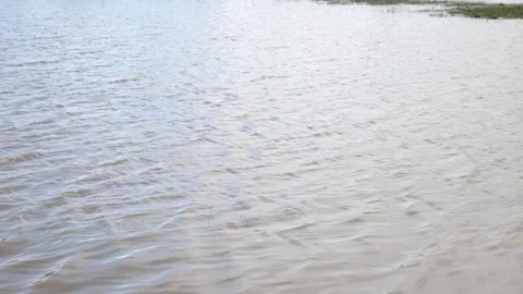 A lake with wind. a lake with with waves in slow motion Stock Footage 270487601