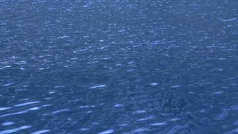 Lake Wind Waves Nature Stock Footage 73925259