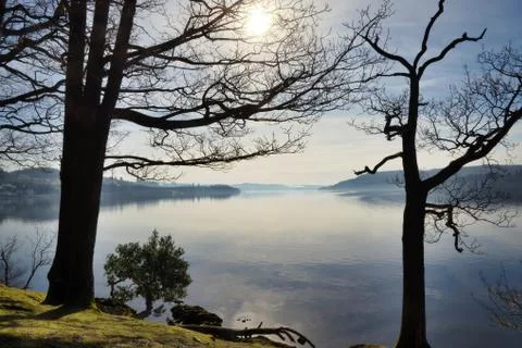 Lake windermere framed by two trees Stock Photos