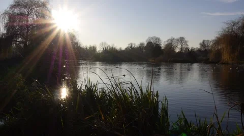 Lake in winter colours2 Video stock 46278011