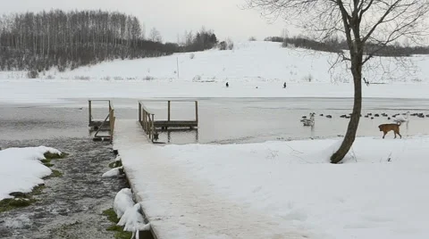 Lake in the winter Stock Footage 55861805