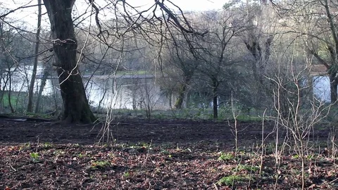 Lake in winter. Video stock 79498007