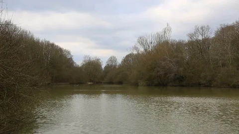 Lake in Winter Stock Footage 101512461