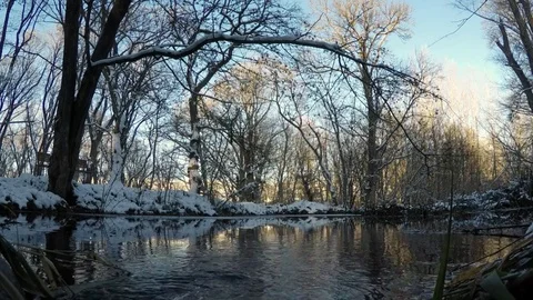 The lake in the winter forest Stock Footage 70138558