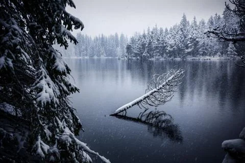 Lake in winter forest Stock Photos