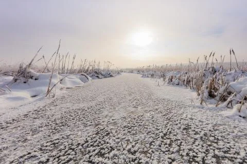 Lake in winter Stock Photos