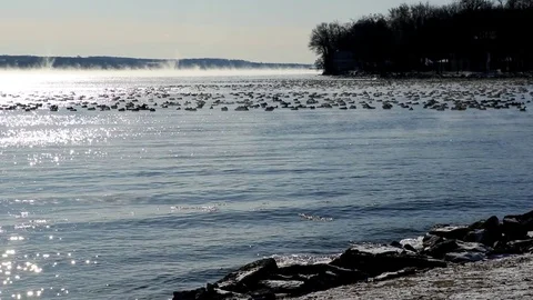 Lake In Winter Steam Clouds Wind Howling with Geese Stockbeeldmateriaal 83997617