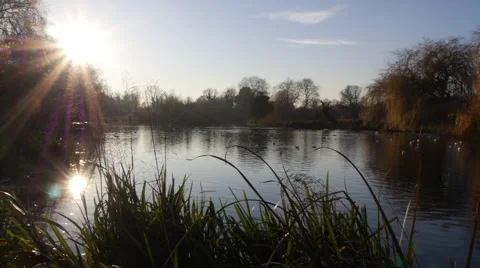 Lake in winter sun glint reflection Video stock 46277786