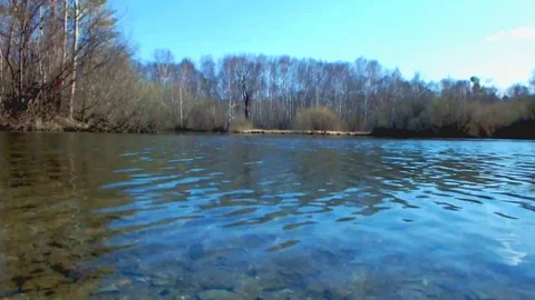 The lake in the wood Stock Footage 95076552