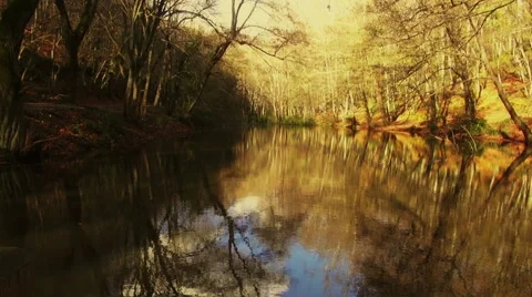 Lake of the woods in the fall Video stock 69023423