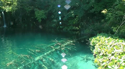 Lake in the woods Stock Footage 7974943