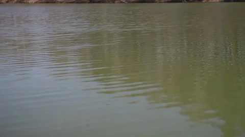 Lake of the Woods Stock Footage 49732751