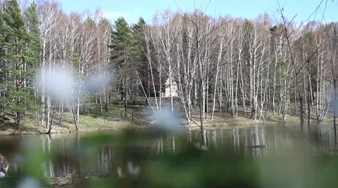 Lake of the Woods Stock Footage 49732752