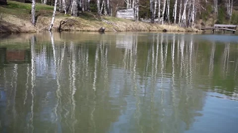 Lake of the Woods Stock Footage 49732774