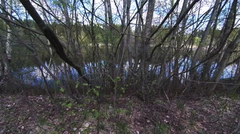 Lake of the Woods. Stock Footage 62460483