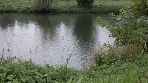 Lake of the woods Stock Footage 80213792